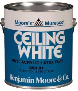 Best Paint for Shower Ceiling 7 Options to Choose